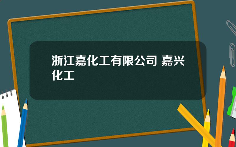 浙江嘉化工有限公司 嘉兴化工